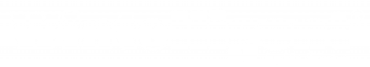 wintelligent logo