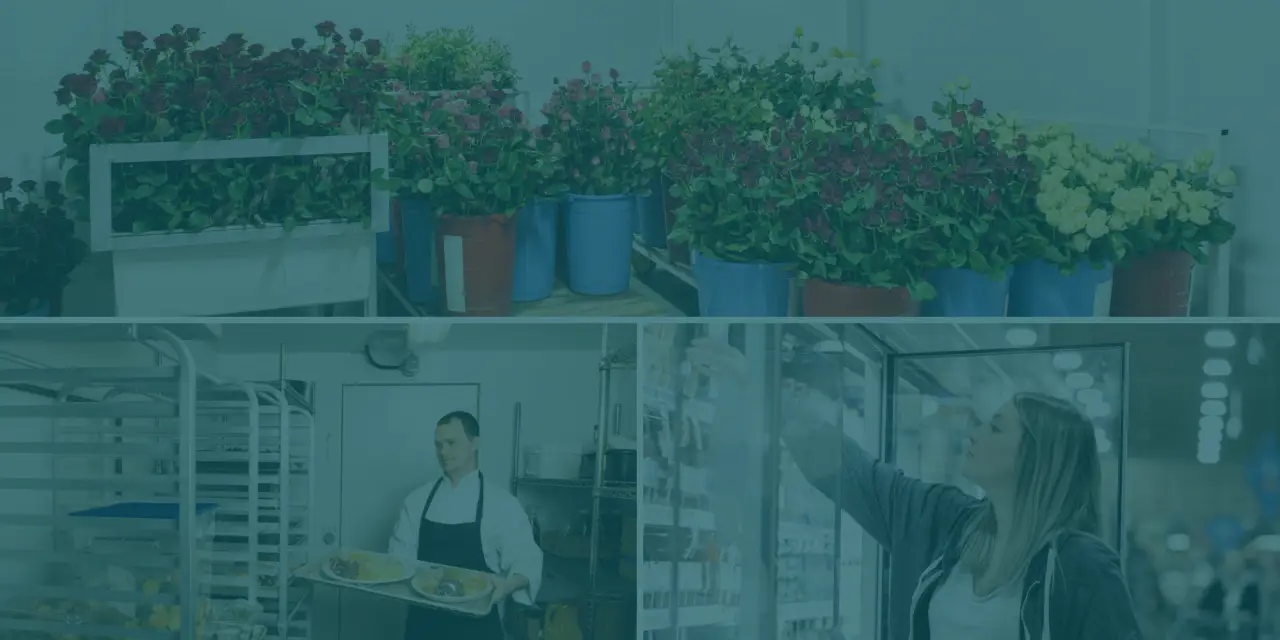 wintelligent walk in coolers and freezers