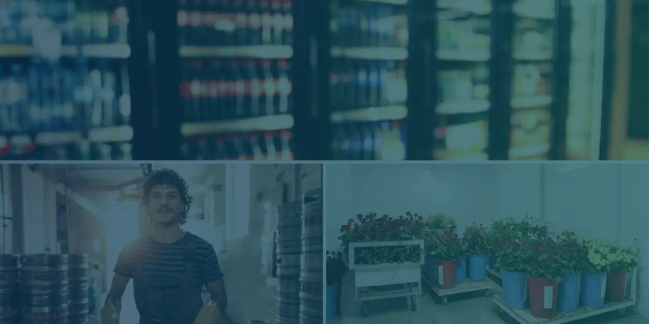 mr winter walk in coolers and freezers medley fl